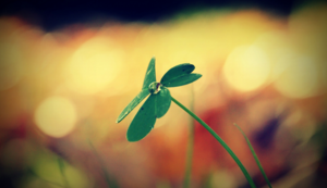 明天上行主场逼平，坚守阵地不失