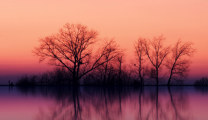 明天上行主场逼平，坚守阵地不失