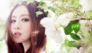 鹈鹕连胜！威廉森呈现进步之势